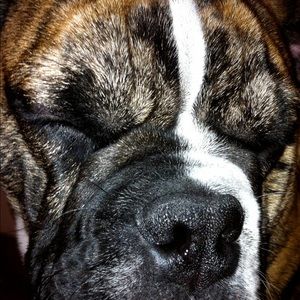 Meet your Posher, John